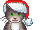 :gato1: